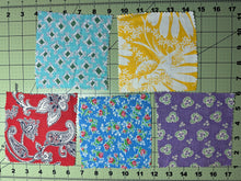 5" Vintage Quilting Fabric  ITEM #2